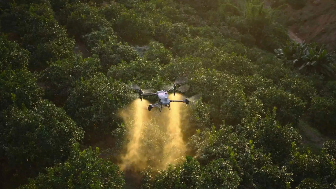 DJI AGRAS T50 vs T40: Which Spray Drone Should You Buy?