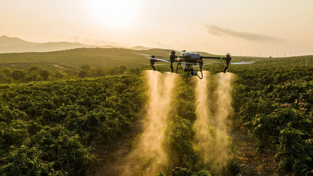 DJI AGRAS T50 ROI: Cost Per Hectare & Payback (Australia)