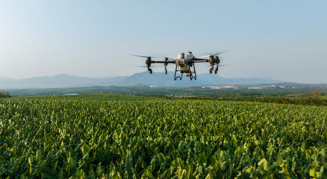 DJI AGRAS T50 Cost Breakdown (Australia): Full Setup & Hidden Costs